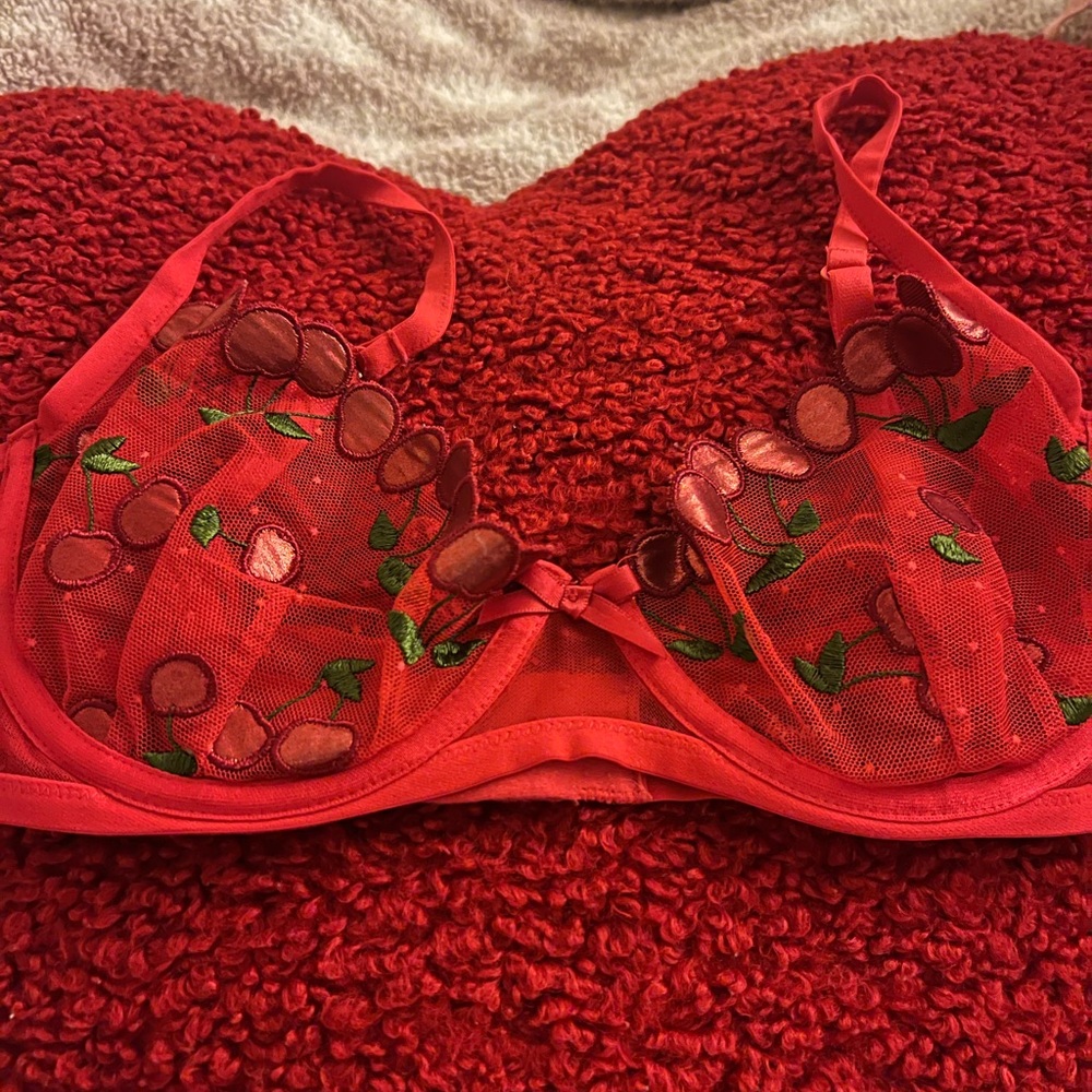 For Love And Lemons Red Cherry Embroidered Bra